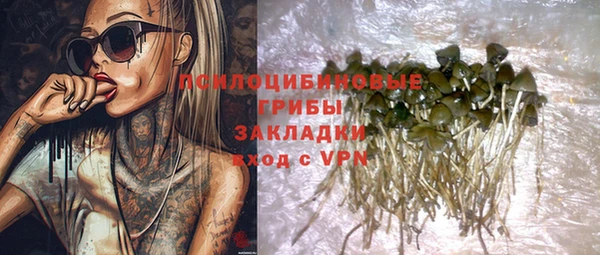 apvp Алексеевка